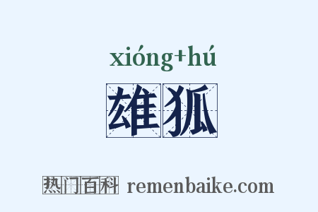 雄狐是什么意思的图片